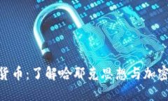 哈耶克加密货币：了解哈